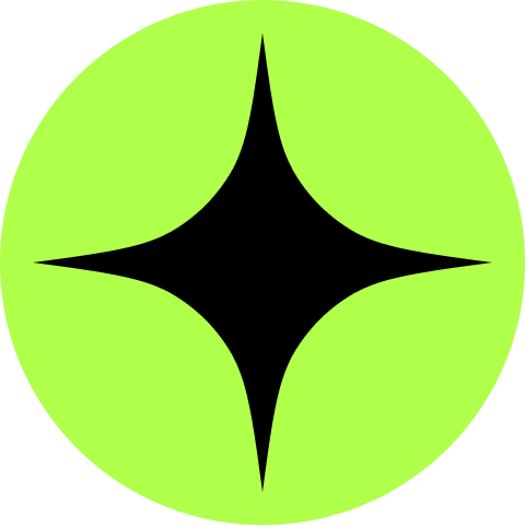 Raizer logo